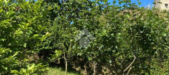 3 Schlafzimmer Villa in Bellegra, Italy, Nr. 161985 29