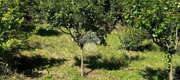 3 Schlafzimmer Villa in Bellegra, Italy, Nr. 161985 9