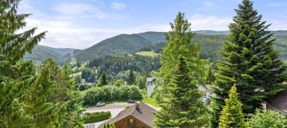 6غرفة فيلا في Spital am Semmering, Austria رقم 71237 40