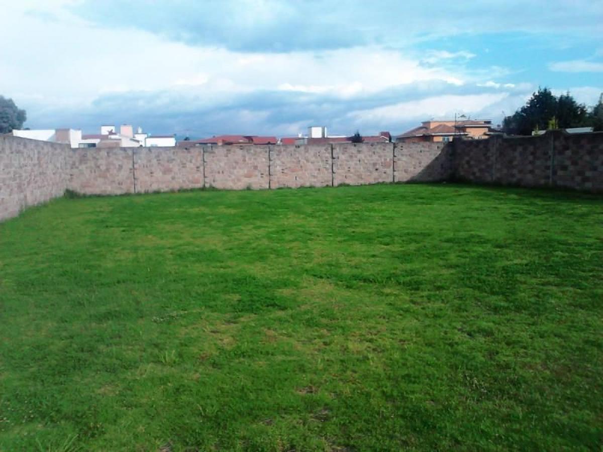 Terrain à Mexico No. 205017