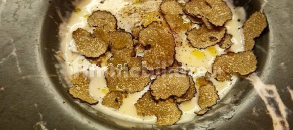 2-Zimmer Gewerbliche Immobilie in Florence, Italy, Nr. 45392 3