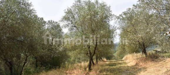 6 Schlafzimmer Haus in Figline e Incisa Valdarno, Italy, Nr. 218100 10