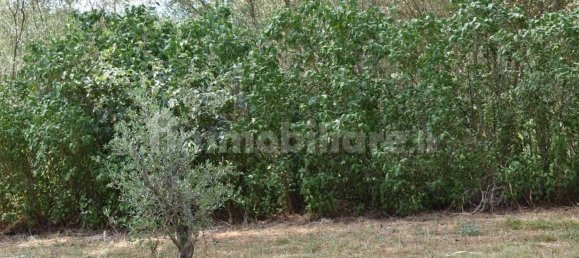 6 Schlafzimmer Haus in Figline e Incisa Valdarno, Italy, Nr. 218100 13