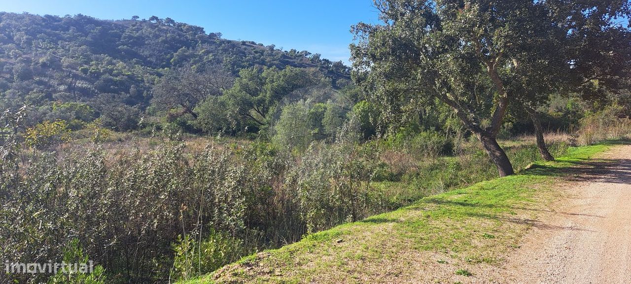 22590m² Land in Alte, Portugal No. 279105