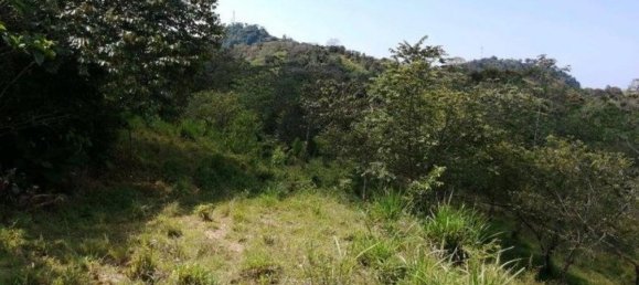 Grundstück in Savegre, Costa Rica, Nr. 2043 3