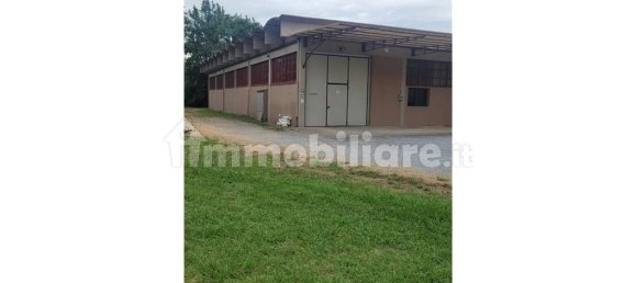 1 room Warehouse in Lamporecchio, Italy No. 278672 4