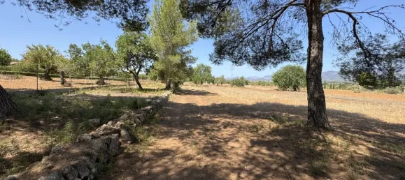  Land in Santa Maria Del Cami, Spain No. 179433 3