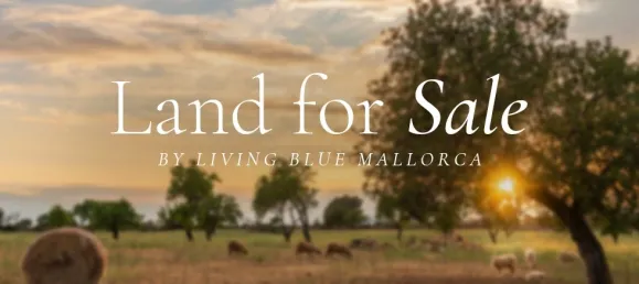  Land in Santa Maria Del Cami, Spain No. 179433 2