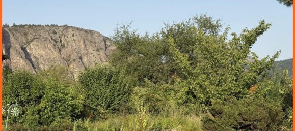 Бунгало с 4 комнатами в Бад-Кройцнах, Германия № 362537 12