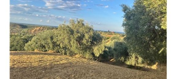 66200m² Land in Corigliano Rossano, Italy No. 289460 8