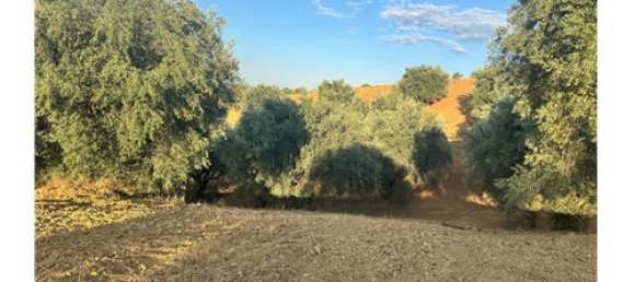 66200m² Land in Corigliano Rossano, Italy No. 289460 12