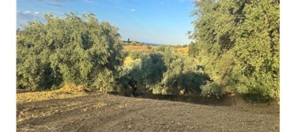 66200m² Land in Corigliano Rossano, Italy No. 289460 11