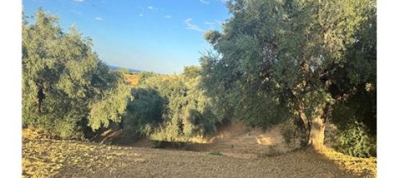 66200m² Land in Corigliano Rossano, Italy No. 289460 9