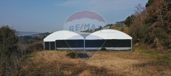 Grundstück in Soalhaes, Portugal 11550m², Nr. 60374 4