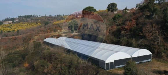 Grundstück in Soalhaes, Portugal 11550m², Nr. 60374 3