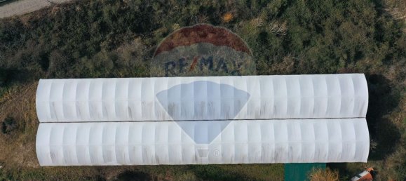 Grundstück in Soalhaes, Portugal 11550m², Nr. 60374 2