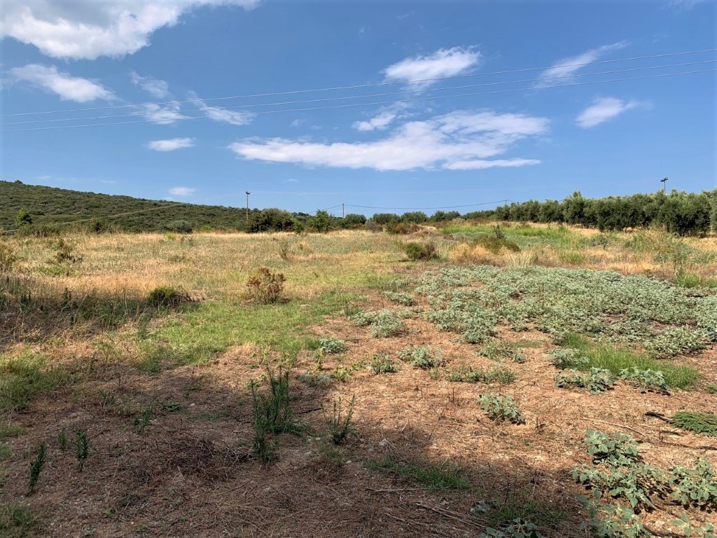 Terrain à Polygyros, Greece 5301m² No. 95120