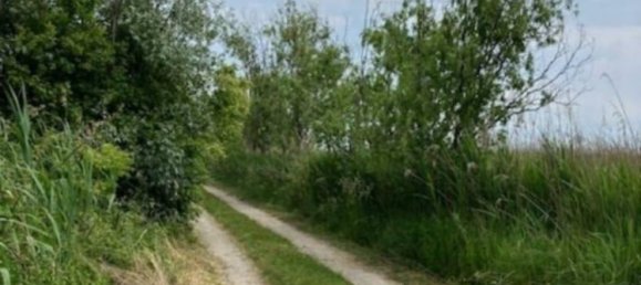 25000m² Land in Udine, Italy No. 286987 11