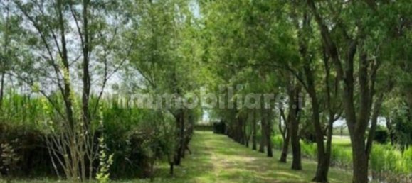 25000m² Land in Udine, Italy No. 286987 10