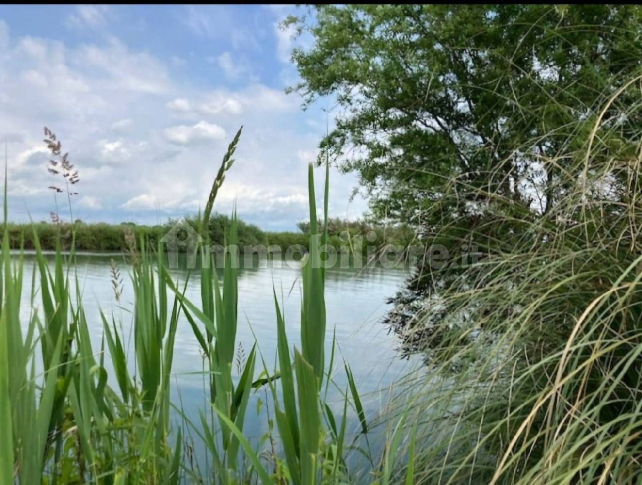 25000m² Land in Udine, Italy No. 286987