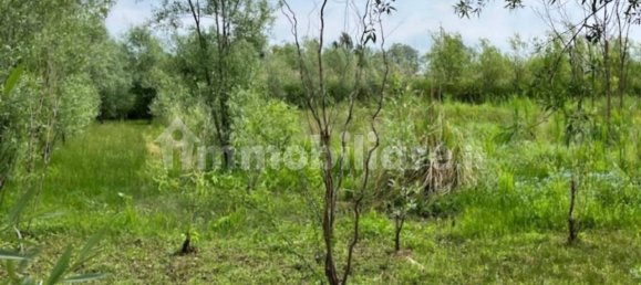 25000m² Land in Udine, Italy No. 286987 8