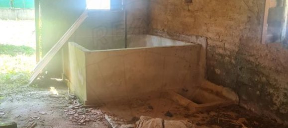 1 bedroom House in Sangalhos, Portugal No. 187932 14