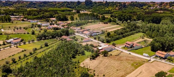 1 bedroom House in Sangalhos, Portugal No. 187932 10