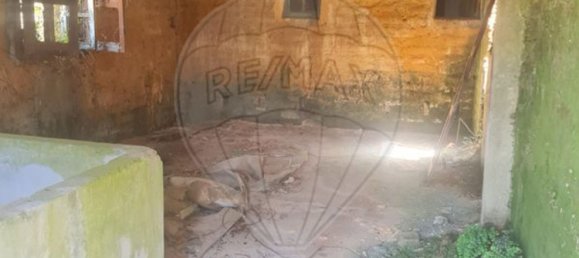 1 bedroom House in Sangalhos, Portugal No. 187932 13