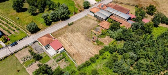 1 bedroom House in Sangalhos, Portugal No. 187932 5
