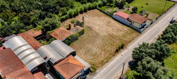 1 bedroom House in Sangalhos, Portugal No. 187932 7