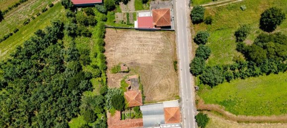 1 bedroom House in Sangalhos, Portugal No. 187932 2