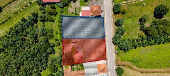 1 bedroom House in Sangalhos, Portugal No. 187932 18