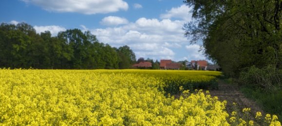 6 rooms House in Brandenburg, Germany No. 82929 18