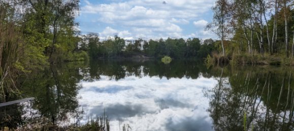 6 rooms House in Brandenburg, Germany No. 82929 19