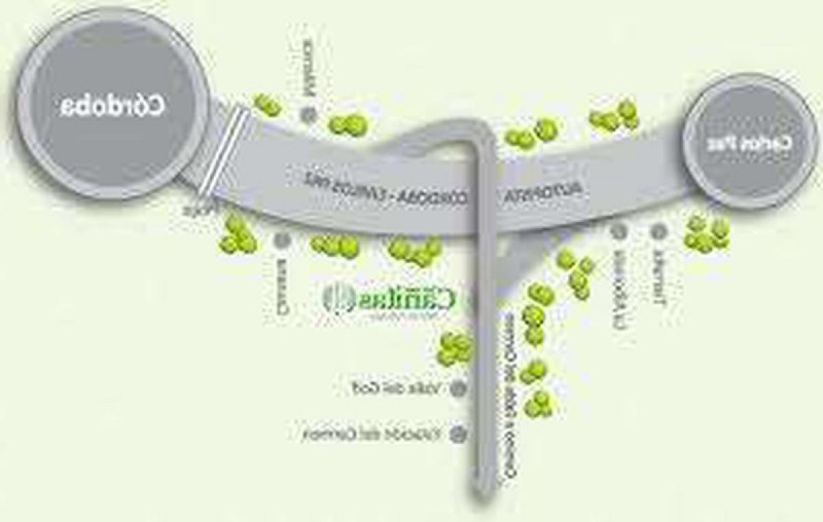  Land in Cordoba, Argentina No. 43625