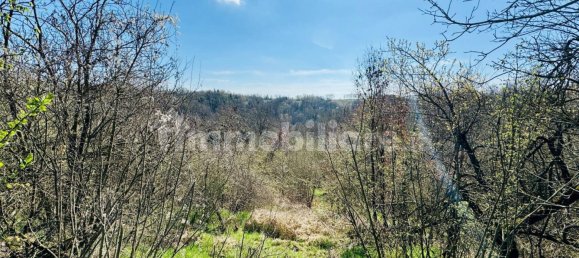 4 غرف نوم منزل في Montafia, Italy رقم 219339 28