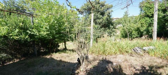 2 bedrooms House in Povoa de Lanhoso, Portugal No. 164321 6