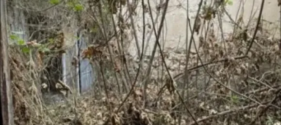 3 غرف نوم منزل في Novelda, Spain رقم 133931 8