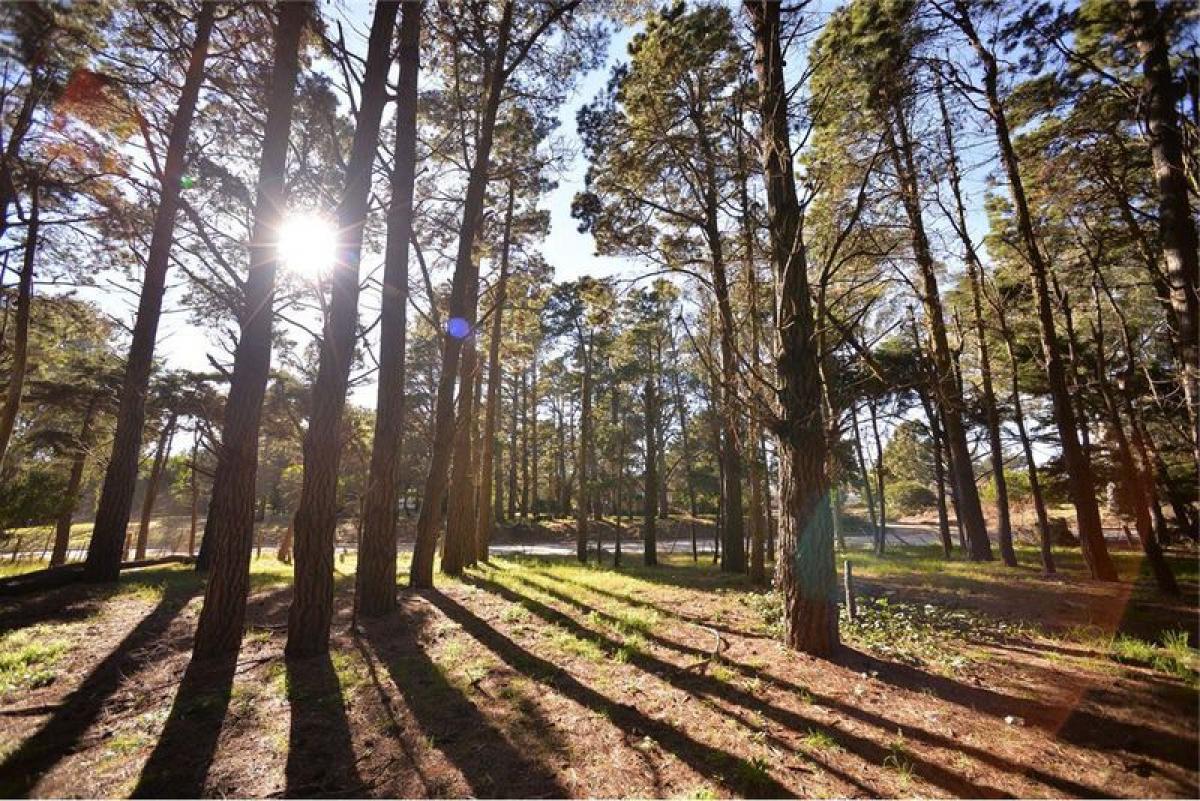  قطعة أرض في Mar del Plata, Argentina رقم 114032