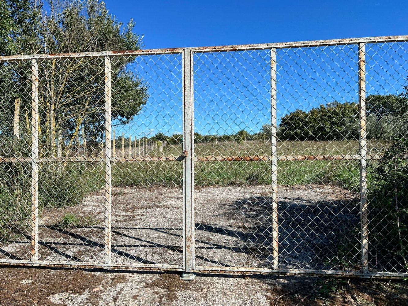 Terreno en Marta, Italy No. 341744