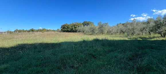 Terreno en Marta, Italy No. 341744 10