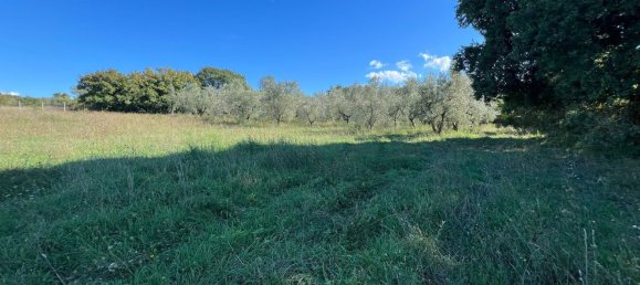 Terreno en Marta, Italy No. 341744 2