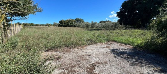 Terreno en Marta, Italy No. 341744 6