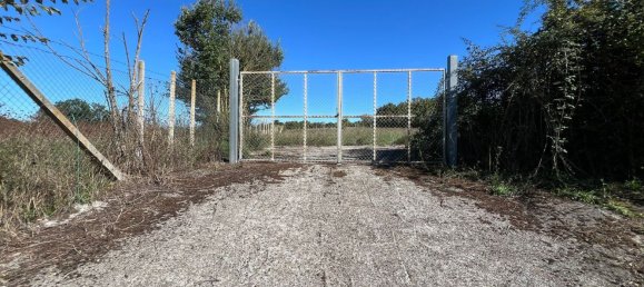 Terreno en Marta, Italy No. 341744 11