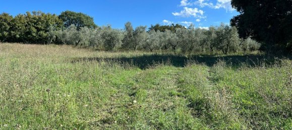 Terreno en Marta, Italy No. 341744 9