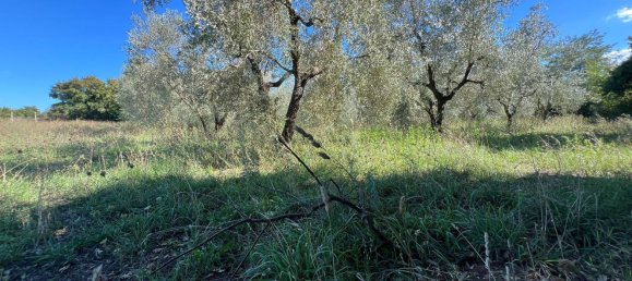 Terreno en Marta, Italy No. 341744 4