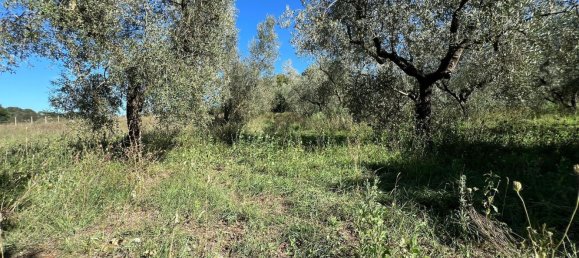 Terreno en Marta, Italy No. 341744 3