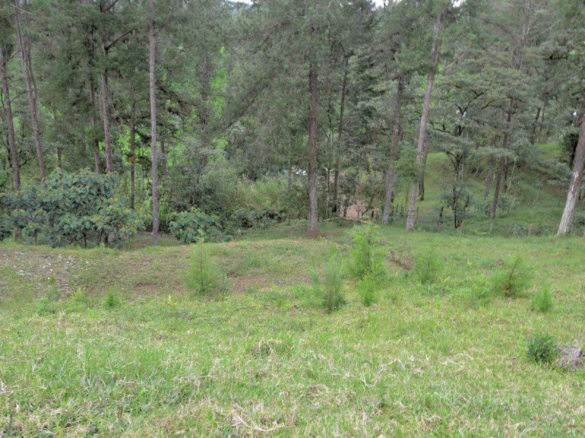 Terrain à Antioquia, Colombia No. 124
