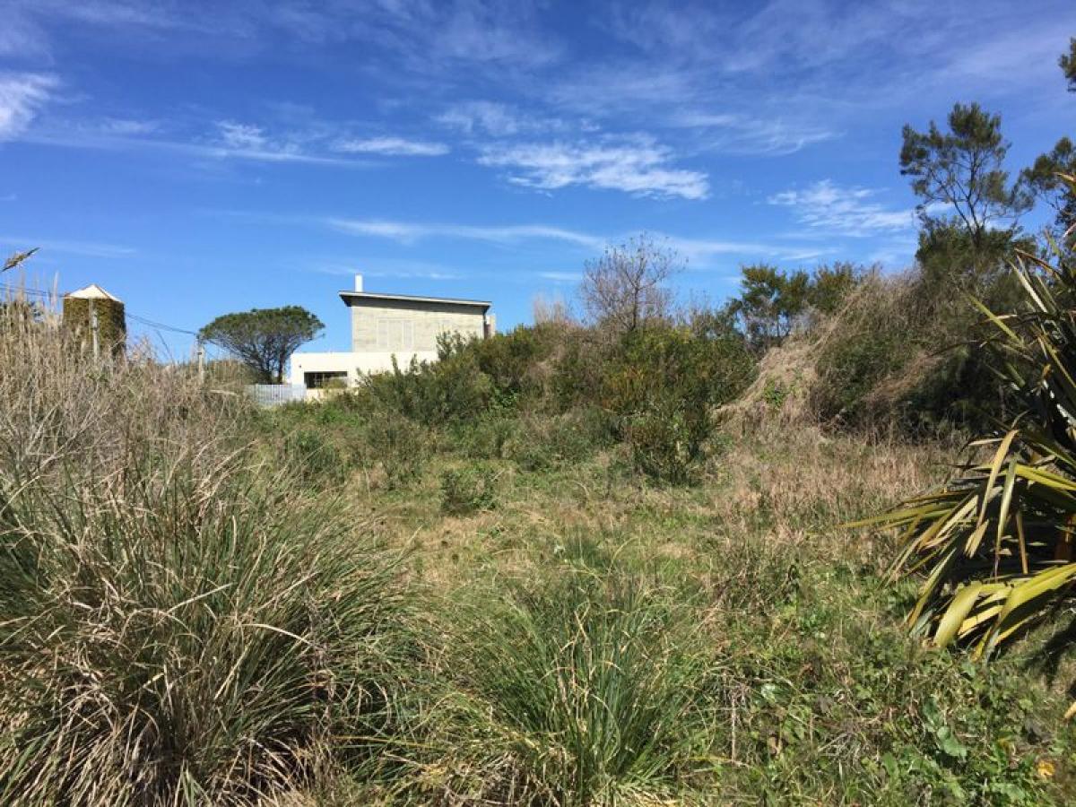 Grundstück in Maldonado, Uruguay, Nr. 15433