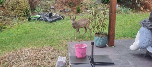 5 bedrooms Townhouse in Oberbergischer, Germany No. 343354 17